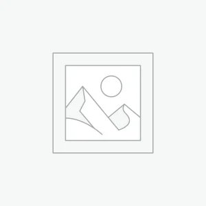 Impartición de Talleres / Ponencias